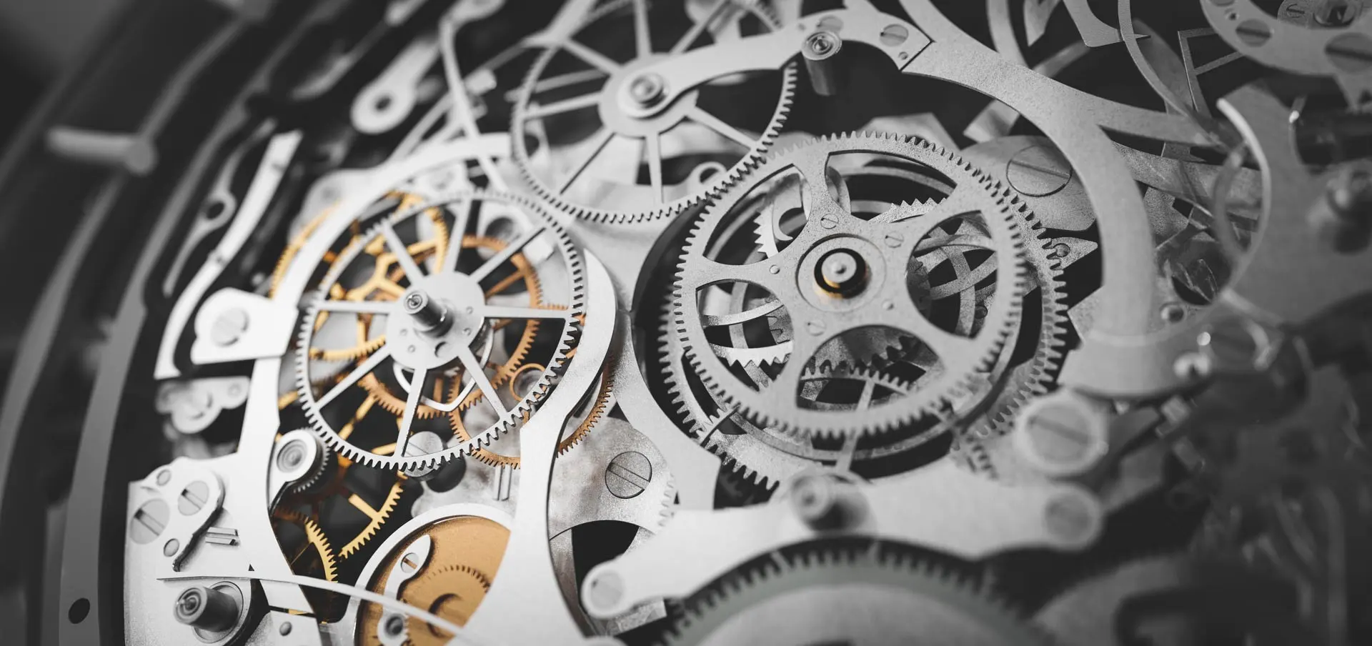 Detailed view of a luxury watch's internal mechanisms in Orlando